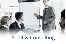 Audit & Consulting